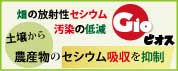 ジオビオス
