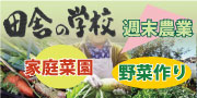 田舎の学校